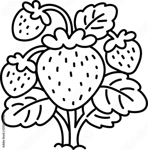 Tableau sur toile Line drawing of a strawberry plant on a white background, for a coloring book
