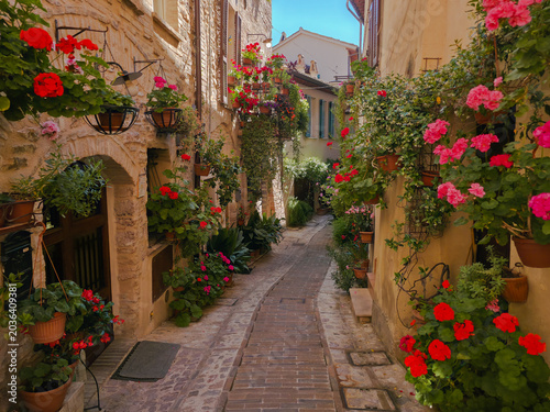 Picturesque narrow stone alley decorated with beautiful blooming geranium flowers in Spello Italy