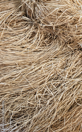 Dry straw grass texture