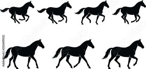 Foto Set of black horse silhouettes showing different stages of movement for animatio