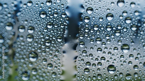 Closeup Macro View of Water Droplets on Glass Surface.