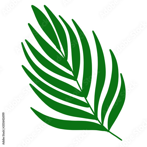 green leaf isolated on white background