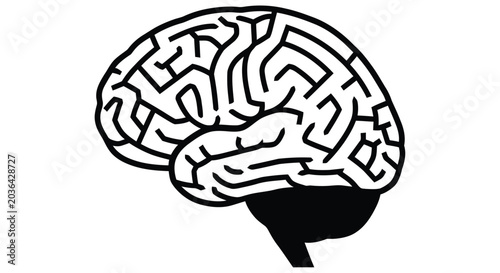 Fényképezés Detailed illustration of a human brain with intricate surface convolutions