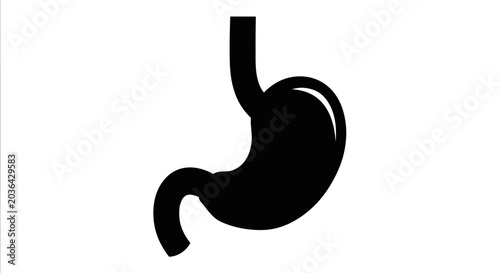 Bild auf Leinwand Human Stomach Icon: Anatomy of the Digestive System