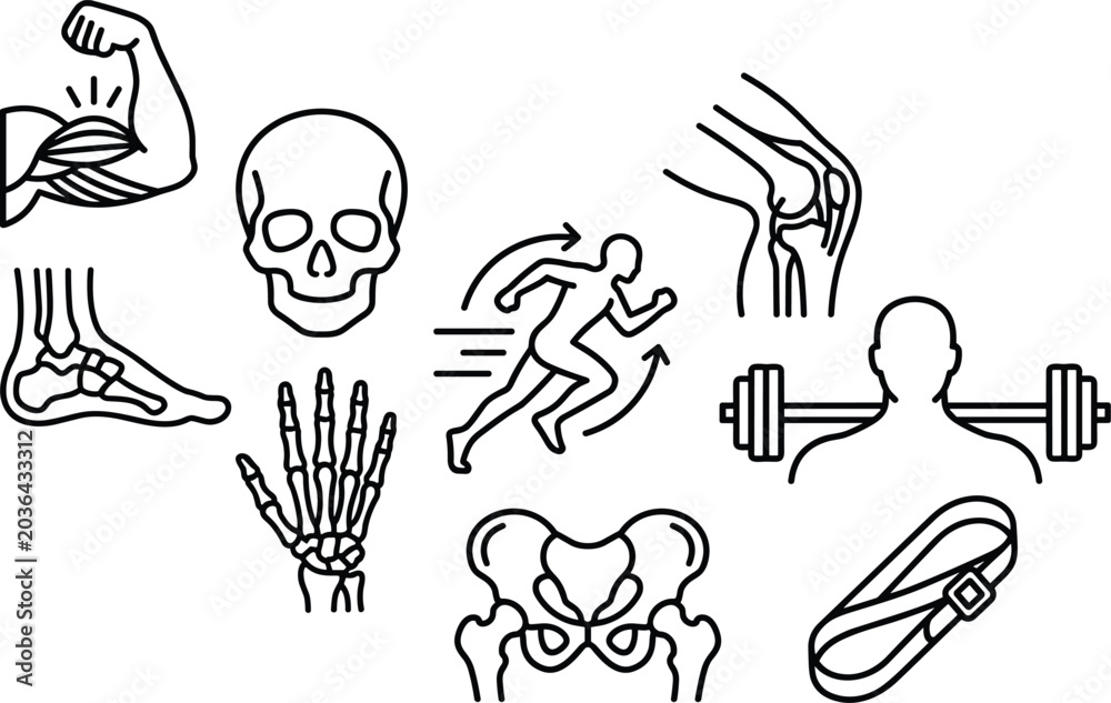 Obraz premium Human anatomy and orthopedic line icon set featuring bones, joints, fitness, and musculoskeletal healthcare symbols