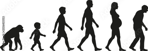 Foto Human evolution stages silhouette showing life cycle from primate to child, adul
