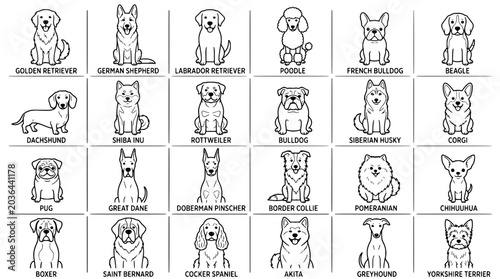 Dog Breeds Line Icons Set Showing Golden Retriever, German Shepherd, Bulldog, Husky, Poodle and More for Pet Logos