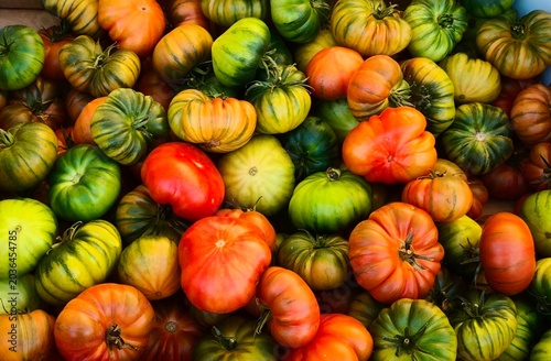 Fotografie tomates de colores