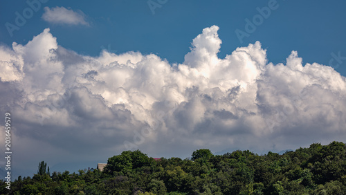 clouds over the forest