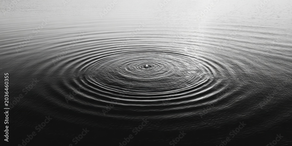 Fototapeta premium Concentric Ripples on Water Surface.