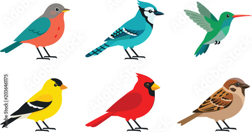 Obraz na plátne Colorful backyard birds collection, flat design vector illustrations of common N