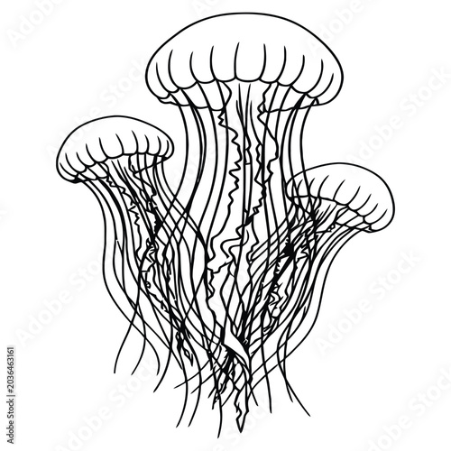Group of jellyfish swimming underwater vector line art illustration