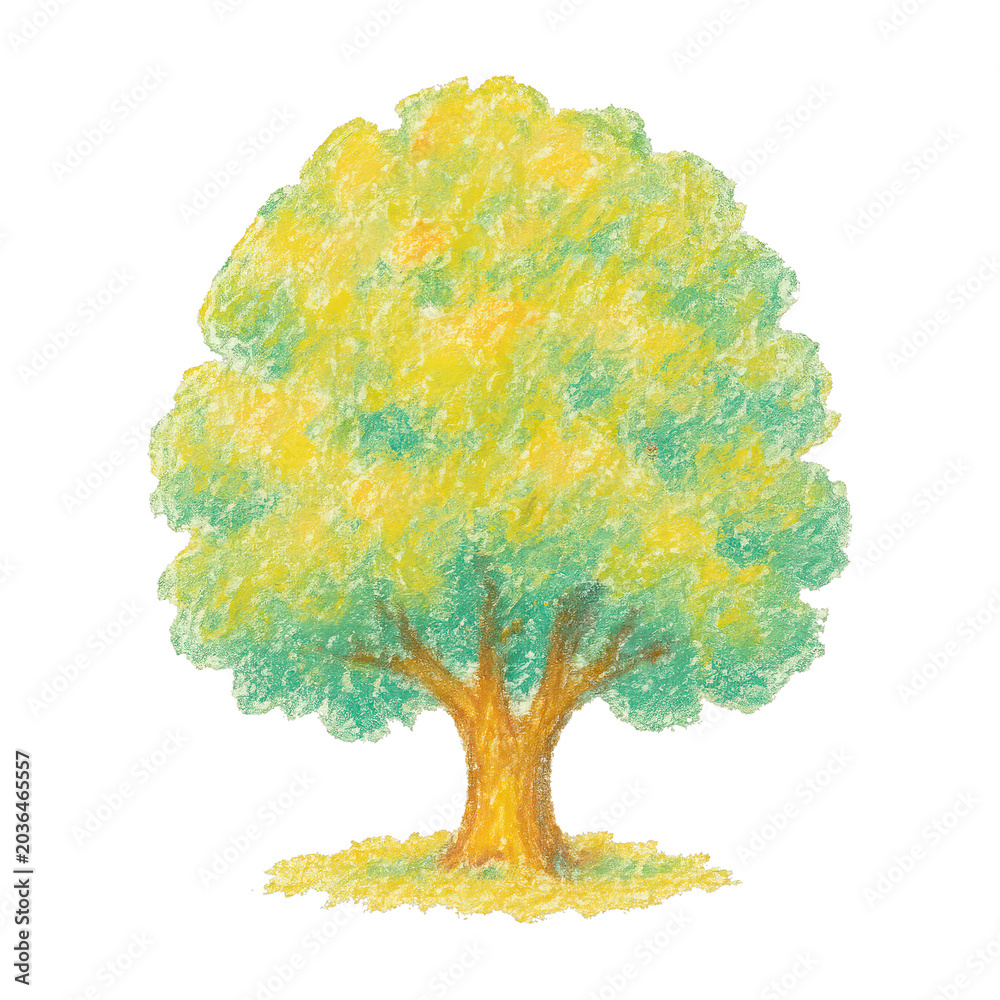 Obraz premium PNG Colorful crayon tree illustration.