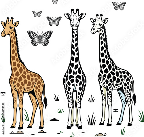 Canvas Print A professional vector illustration set featuring realistic giraffes black and wh
