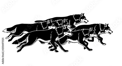 Canvastavla A pack of wolves running in unison against a white background.