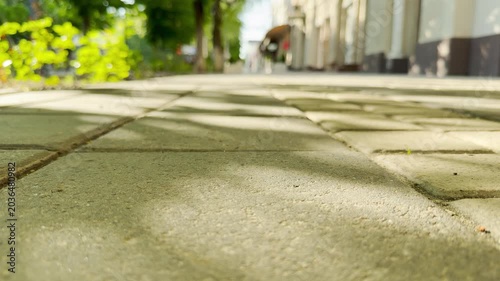 A paved stone sidewalk extends into the distance under the shade of green trees. The bright path carries the soft, ambient hum of the morning city.