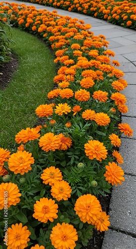 Orange Bloom Pathway