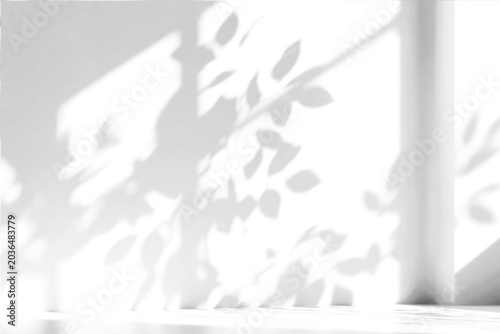 Fotografie branch of a tree with leaves shadow,shadow overlay effect of natural tree leaves
