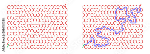 Maze graphic with two paths highlighted, one in red and one in green