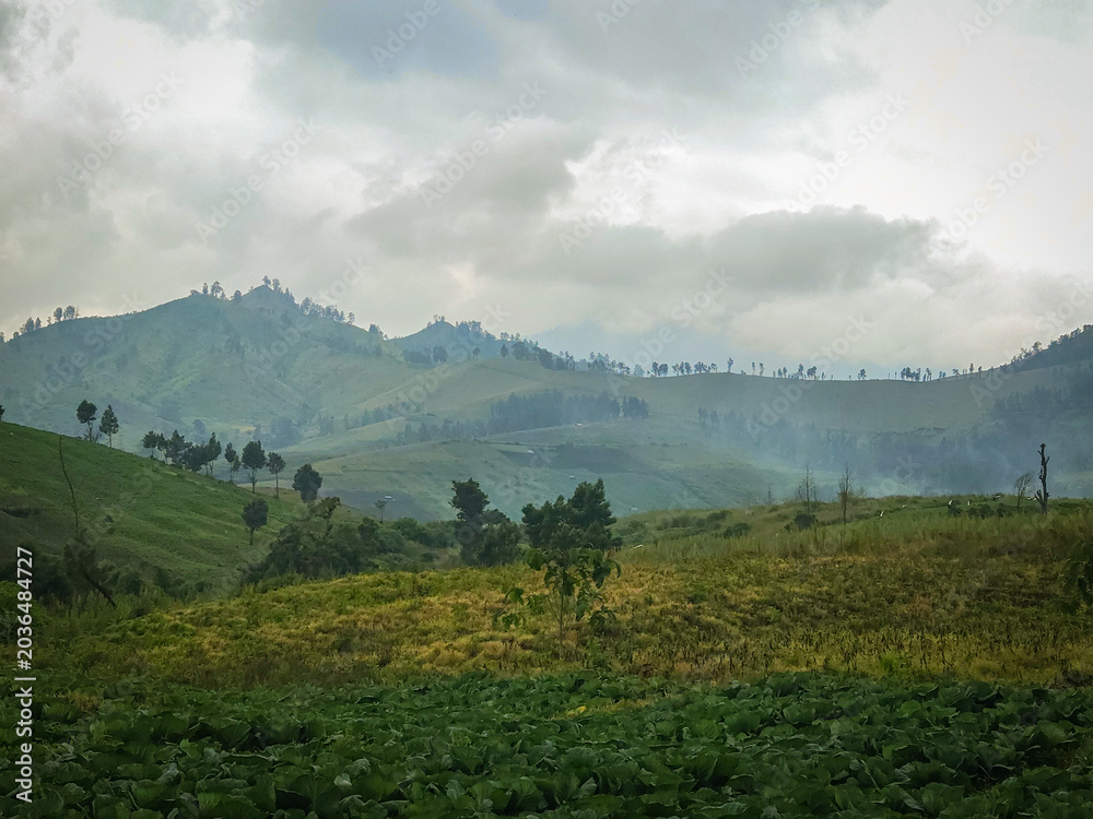 Fototapeta premium Green rolling mountains misty cloudy sky agricultural fields rural highland landscape serene scenery. Suitable for travel brochures, nature magazines, and environmental blogs.