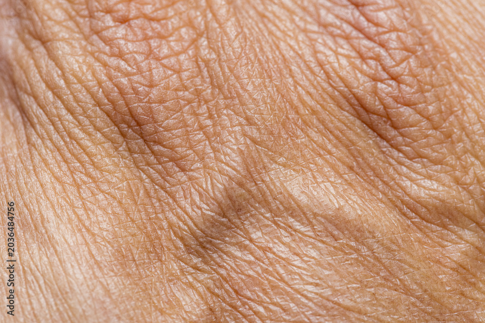 Fototapeta premium Macro Close-up Texture of Human Skin,A detailed macro photography shot capturing the natural texture, fine lines, and pores of human skin surface.