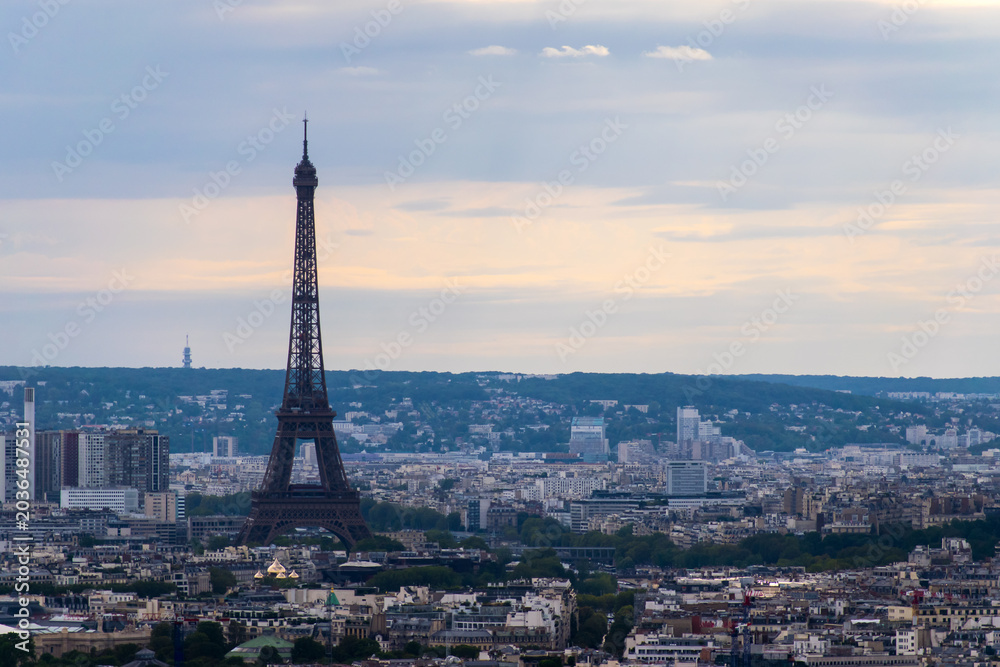 Obraz premium Eiffel tower in paris