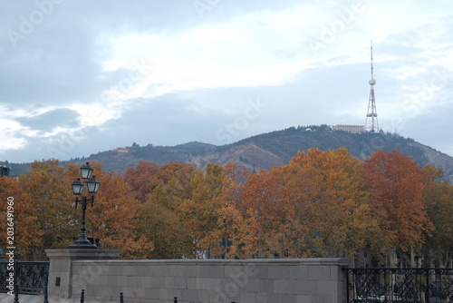 Tbilisi in November. Trees with red and yellow leaves on the streets of Tbilisi. Autumn sky, autumn colors, autumn mood