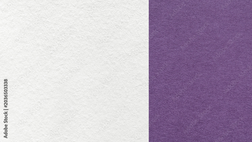 Fototapeta premium White paper texture two color background with violet vertical split and copy space for template, banner, presentation