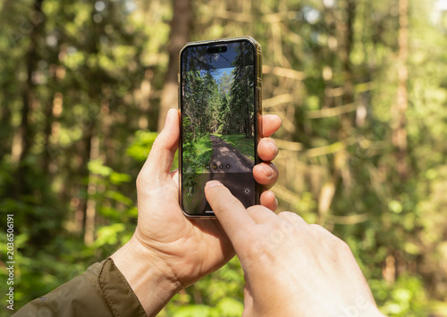 Hands holding smartphone in sunlit forest. Mobile camera frames woodland trail in daylight. Travel photography and outdoor content creation concept..