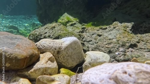 In the woods, immersed in nature. Above and below the water. Pristine nature and crystal-clear waters. Torre Torre in Friuli.