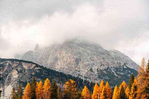 Majestic Dolomite Mountain Peak Looming Over Vibrant Autumn Forest, Dramatic Alpine Landscape in Golden Fall Colors