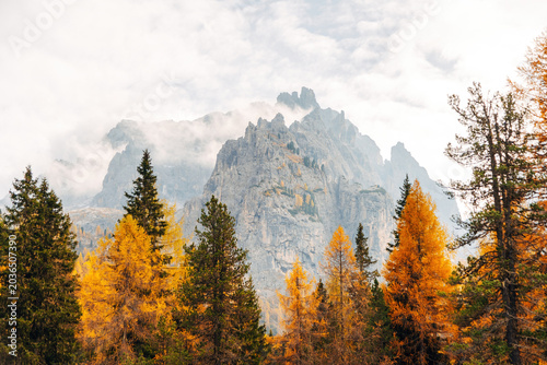 Majestic Dolomite Mountain Peak Looming Over Vibrant Autumn Forest, Dramatic Alpine Landscape in Golden Fall Colors