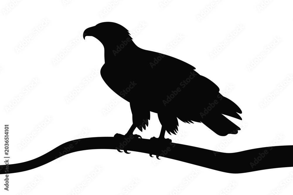 Fototapeta premium Crow silhouette sitting on a branch isolated on white background