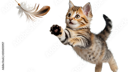 Energetic Tabby Kitten Leaping and Playing with Feather Toy on White Background