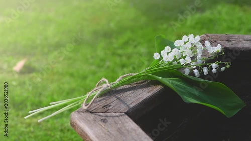 Lily of the valley bouquet tied with twine sitting on a rustic wooden railing, with a soft green nature background evoking feelings of spring, freshness, and delicate beauty