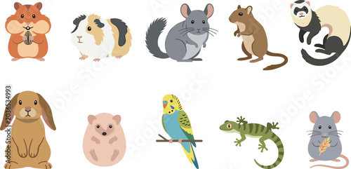 Bild auf Leinwand Small Pet and Exotic Animal Vector Collection Featuring Hamster, Guinea Pig, Chi