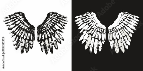 Photos Stylized Wing Pair Vector Illustration Black And White Design