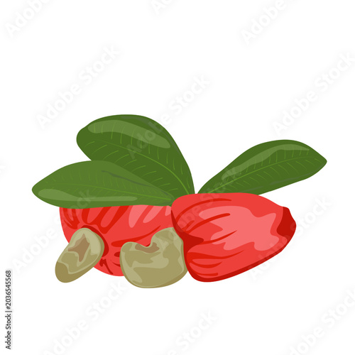 Cashew Nuts With Leaves