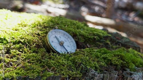 A vintage watch lies peacefully on a bed of vibrant green moss in a serene forest. Sunlight filters through the trees, creating a magical moment of tranquility and reflection in nature