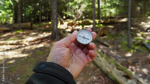 Holding a compass amidst tall trees, the forest surrounds with rich greenery. The light filters through branches, creating a serene atmosphere for navigation and adventure