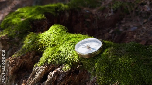 Amidst a vibrant green forest, a compass rests on moss-covered wood, reflecting sunlight. Nature's beauty surrounds this simple tool, inviting exploration and adventure
