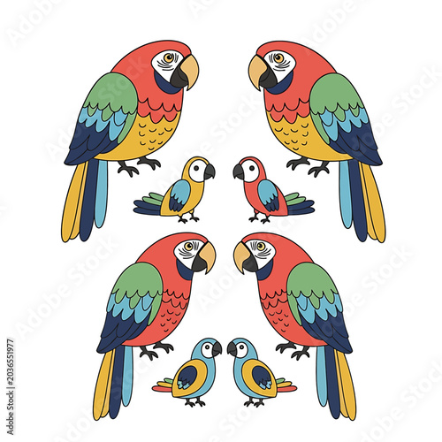 Colorful parrots and small birds together.
