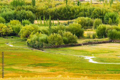 Indus river flowing through green Leh valley, near Leh Airport, Ladakh, India. Leh is capital of Ladakh, Jammu and Kashmir and known for natural landscape attracting tourists from all over world.
