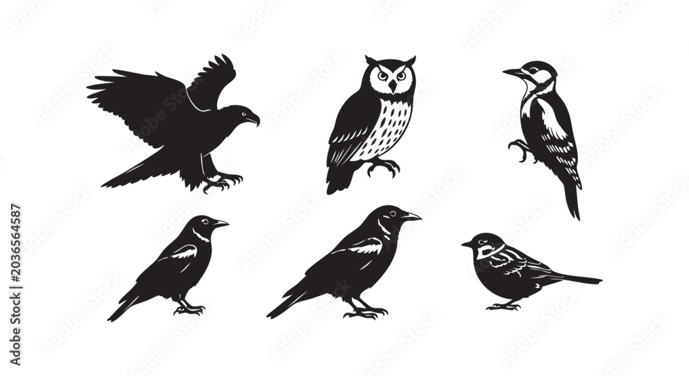 Fototapeta premium Set of bird silhouettes, eagle, owl, woodpecker, crow, sparrow, wild birds in flight and perched, nature wildlife graphic.