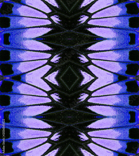 Seamless abstract pattern texture based on macro photography of purple and black tropical butterfly wings