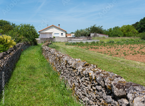 venelle dans un village