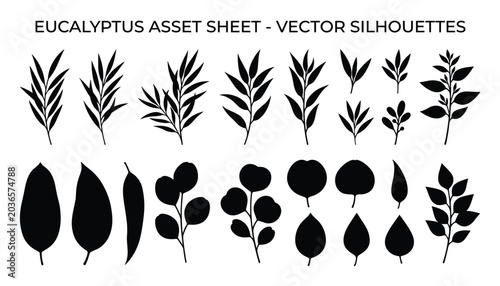 Eucalyptus leaves and branches vector silhouettes transparent background for nature design elements.
