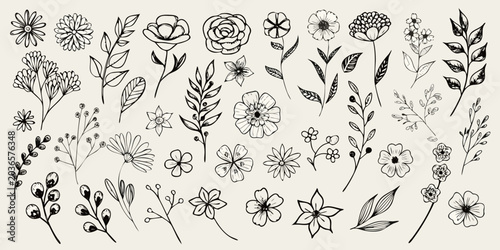 Foto Floral Ornament Collection Black And White Line Art Illustration