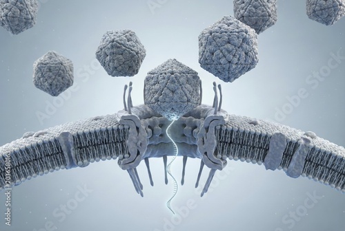Microscopic view of adeno-associated virus vectors (AAV) that dock to the nuclear membrane of a cell to transport therapeutic genetic material into the cell nucleus. Visualisation of gene therapy. Virology, infectiology, molecular biology, genetics, biotechnology, AI generated