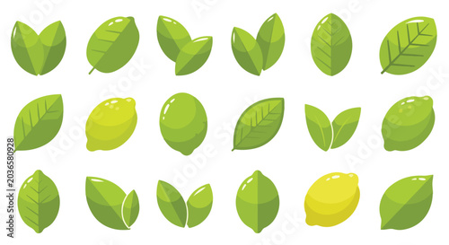 Foto Flat vector lime lemon and green leaf icons set on white background